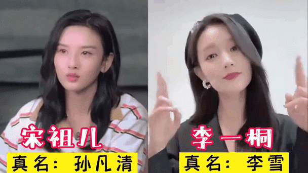 那英姓叶不姓那这些明星真名你了解吗