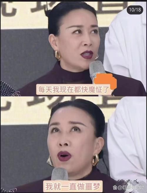 那英孙红雷综艺表现亮眼 观众直呼太搞笑