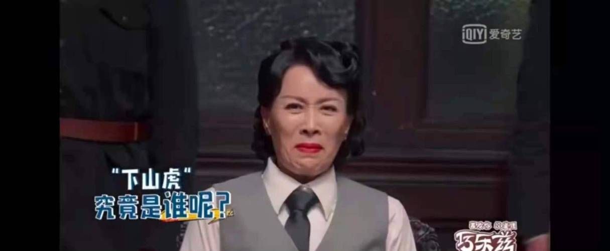 那英孙红雷综艺表现亮眼 观众直呼太搞笑