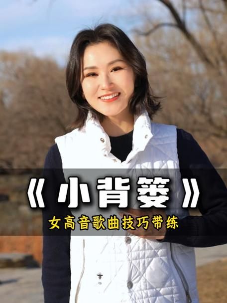 那英小背篓这首歌到底有多火