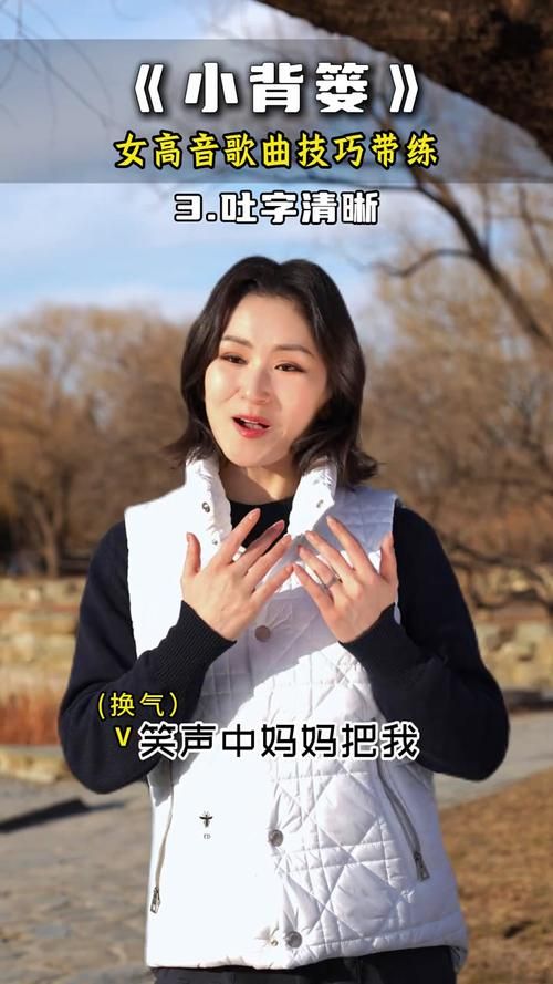 那英小背篓这首歌到底有多火