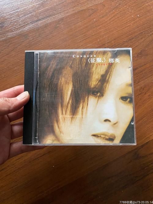 那英征服歌曲背后的故事 原唱是这样诞生的