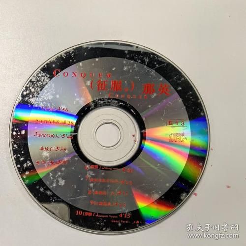 那英征服歌曲背后的故事 原唱是这样诞生的