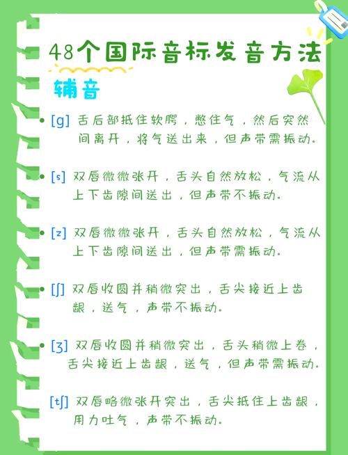 那英怎么读拼音才对 常见错误发音避雷指南