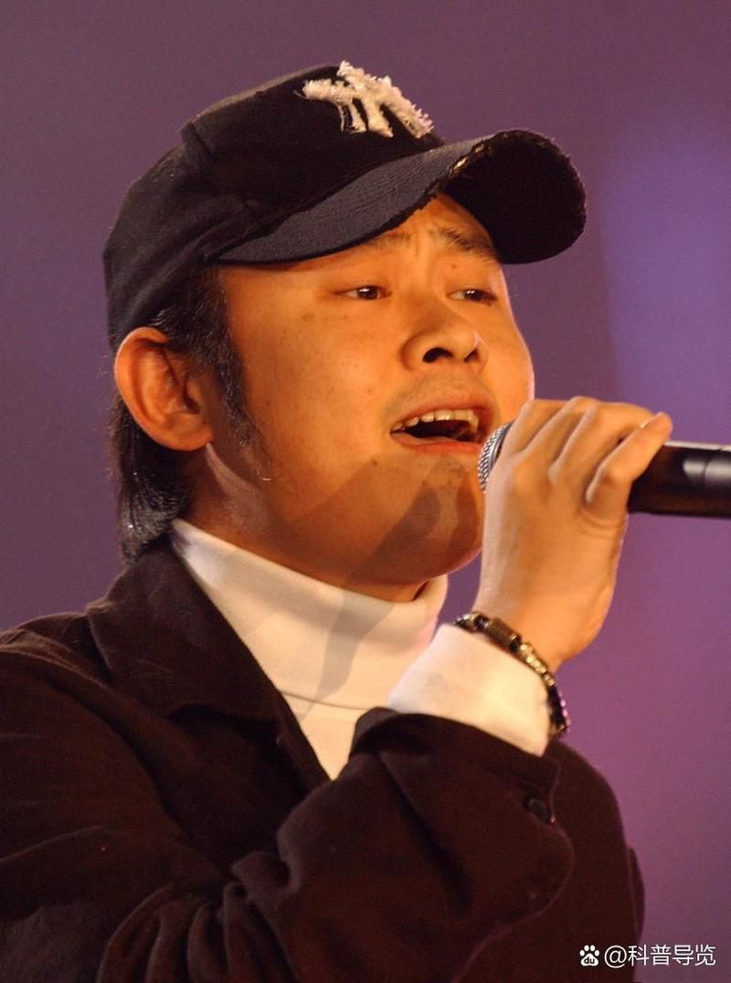 那英怎样评价刀郎的音乐风格和唱功
