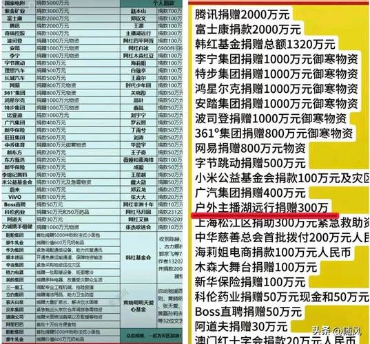 那英捐款了吗最新消息曝光 网友热议明星公益行动
