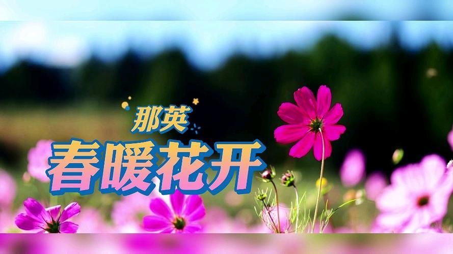 那英春暖花开歌曲背后的感人故事揭秘