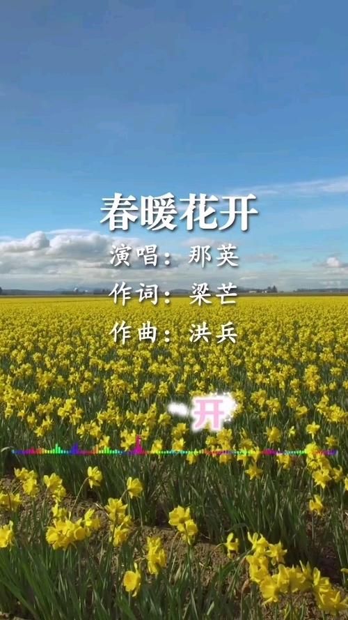 那英春暖花开歌曲背后的感人故事揭秘