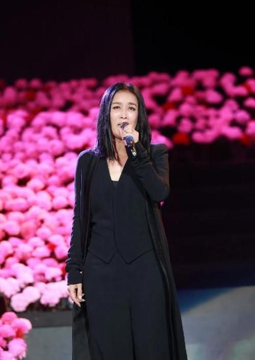 那英是什么族 她的民族故事让人意外