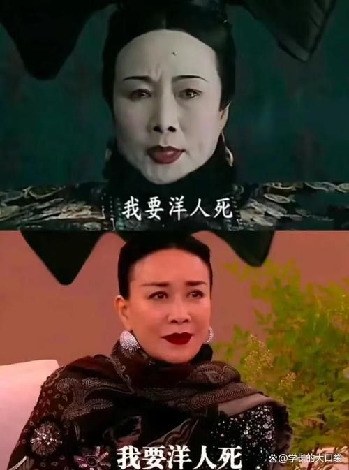 那英是只鸡梗出处曝光 原来和这个事件有关