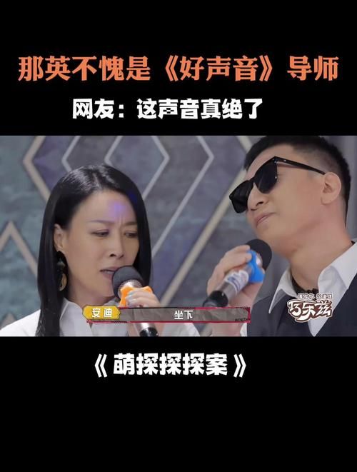 那英是好声音股东吗揭秘她与节目的真实关系