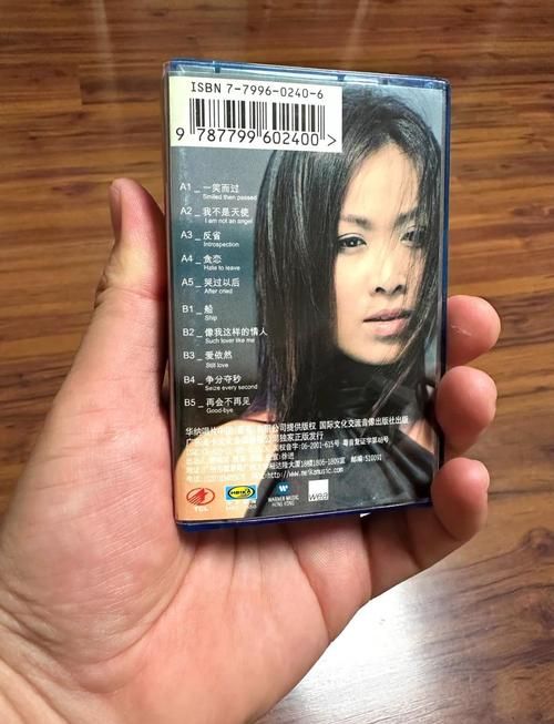 那英是谁她的经典歌曲你听过几首