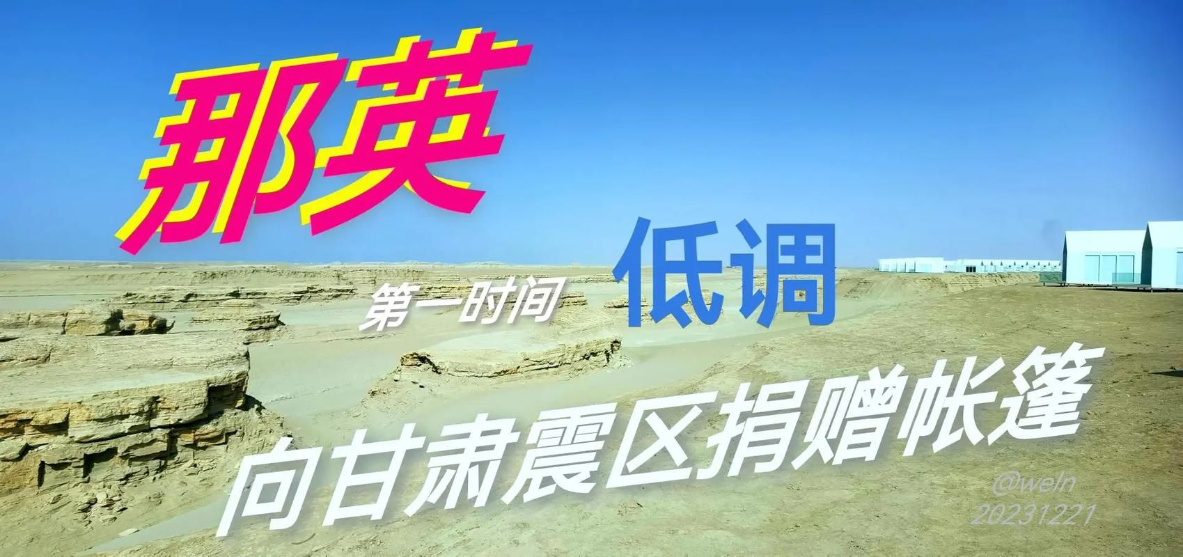 那英有捐款吗盘点她的公益事业和捐款情况