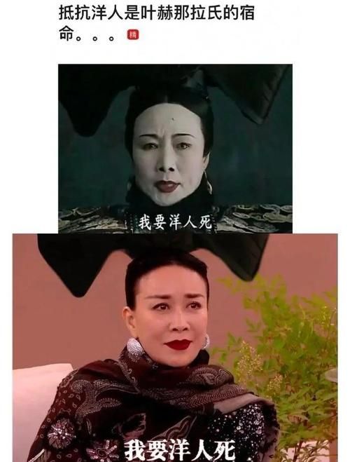 那英植物人传闻真相揭秘 粉丝集体辟谣暖心守护
