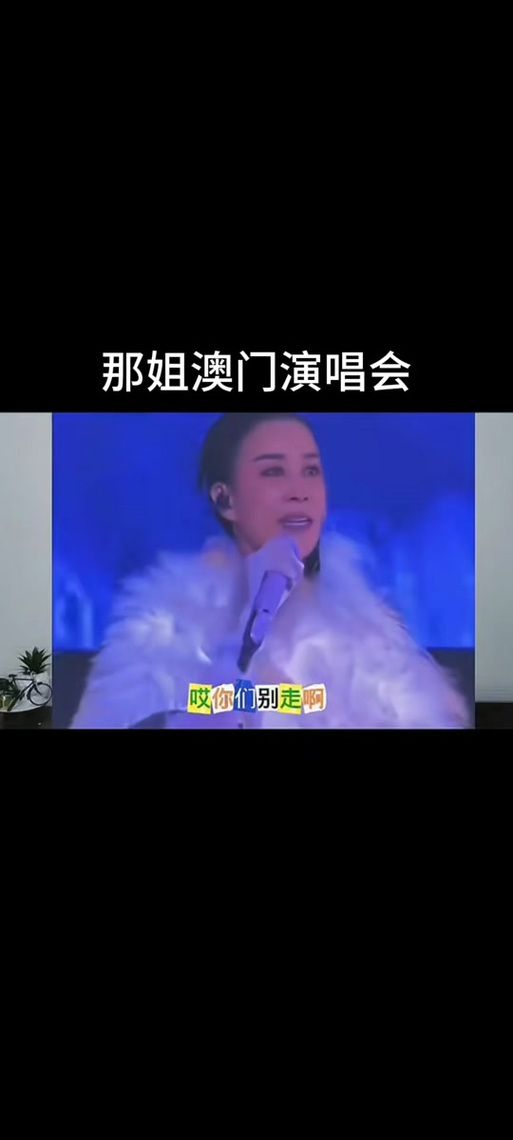 那英歌曲背后的故事 经典歌词与创作背景解析