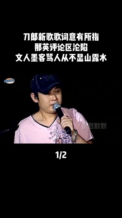 那英歌曲背后的故事 经典歌词与创作背景解析