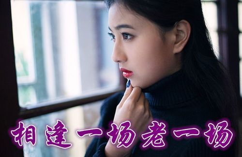 那英沉默的鱼创作背景 你不知道的幕后故事