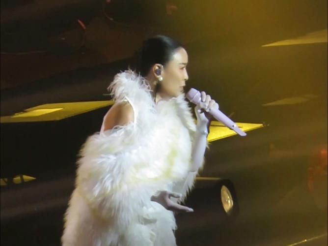 那英演唱会丢戒指视频曝光 粉丝心疼寻找失物