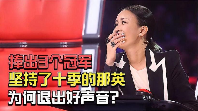 那英点评刀郎视频言论惹争议