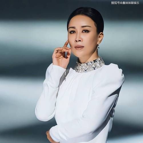 那英照片大全合集 从青涩到成熟珍贵影像全记录
