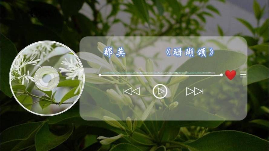 那英珊瑚颂歌曲背后的创作灵感来源