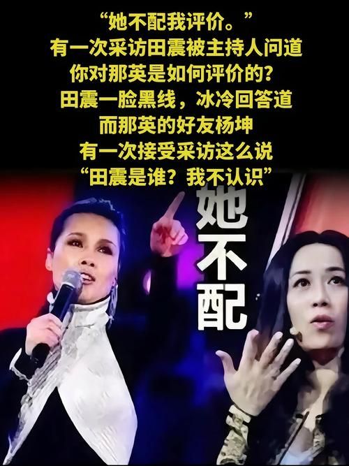 那英田震事件深度解读 音乐颁奖礼引发的天后之争