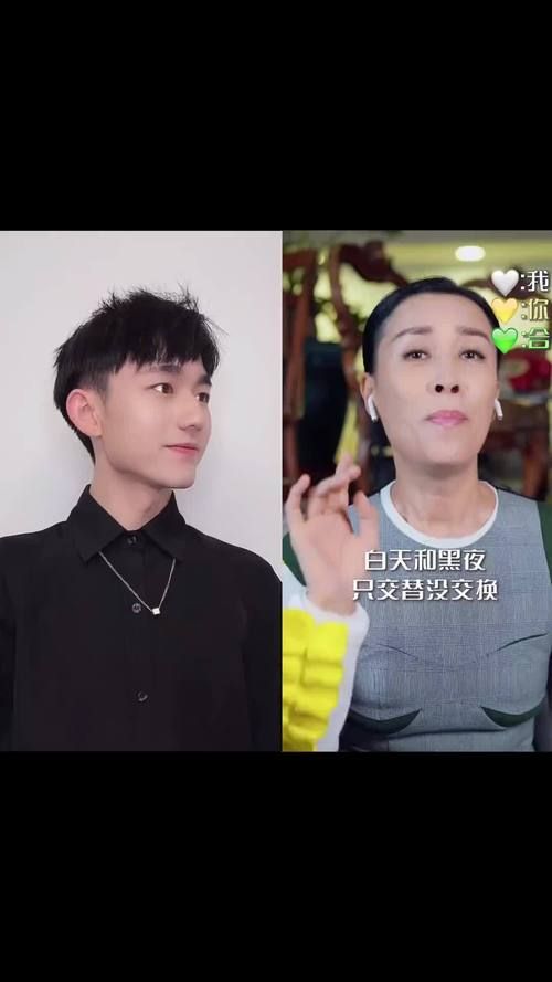 那英白天不懂夜的黑为什么这么火 老歌翻红原因分析