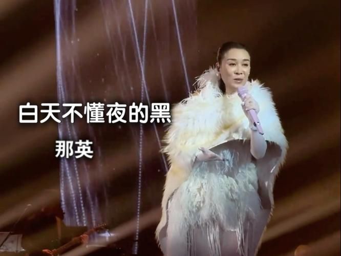 那英白天不懂夜的黑歌词赏析 每一句都戳中泪点