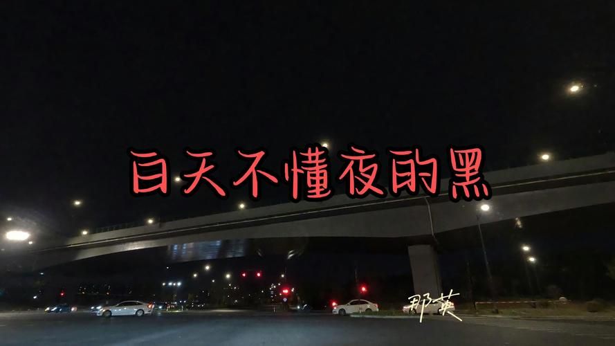 那英白天不懂夜的黑歌词赏析 每一句都戳中泪点