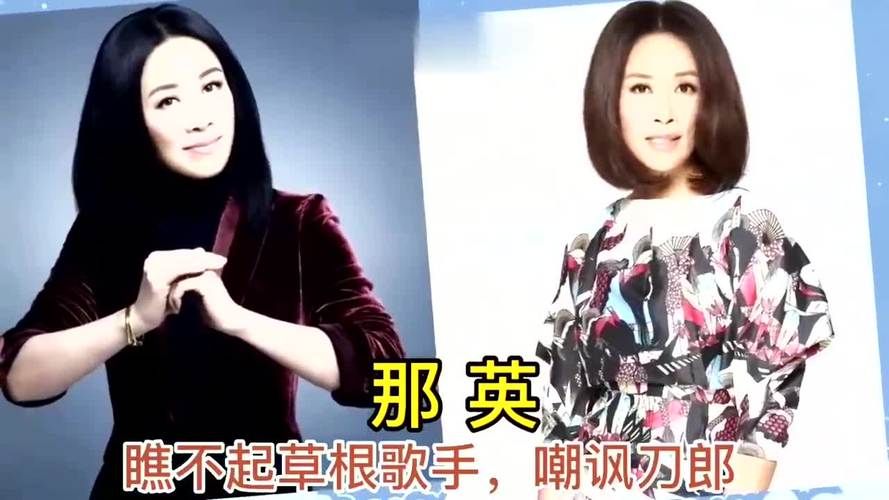 那英的人品是好是坏这些事件说明一切