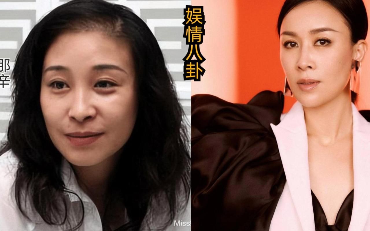 那英的姐姐那辛是谁揭秘姐妹俩的成长故事