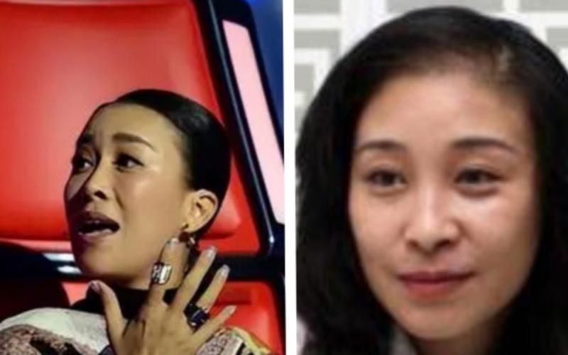 那英的姐姐那辛是谁揭秘姐妹俩的成长故事