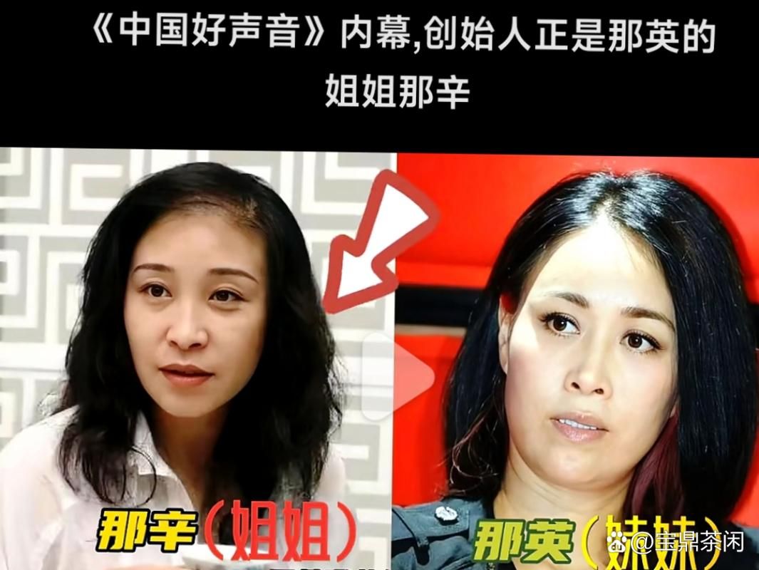 那英的姐姐那辛是谁揭秘姐妹俩的成长故事