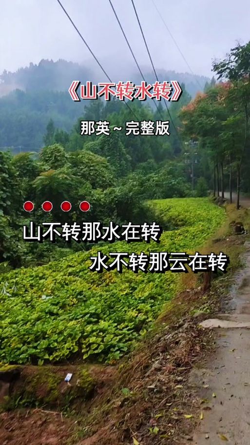 那英的山不转水转歌词背后的故事