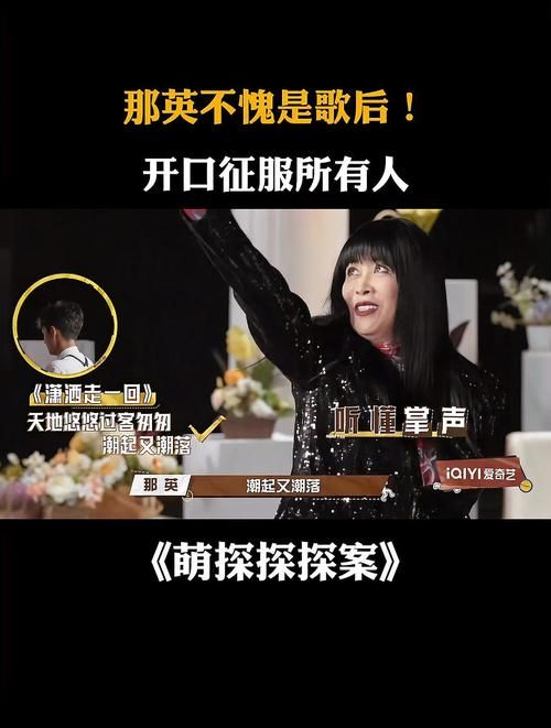 那英的征服歌词解析 经典老歌背后的故事