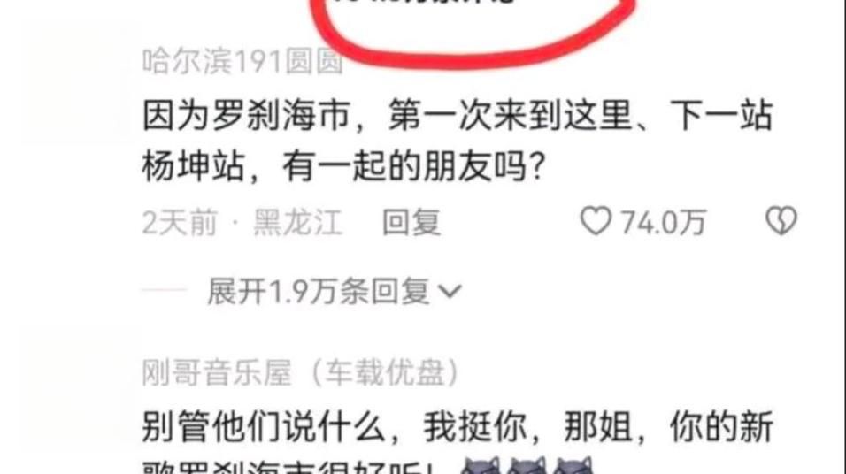 那英的微博内容引发热议网友直呼太真实