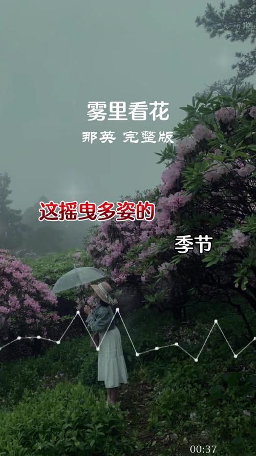 那英的歌雾里看花为什么这么经典好听