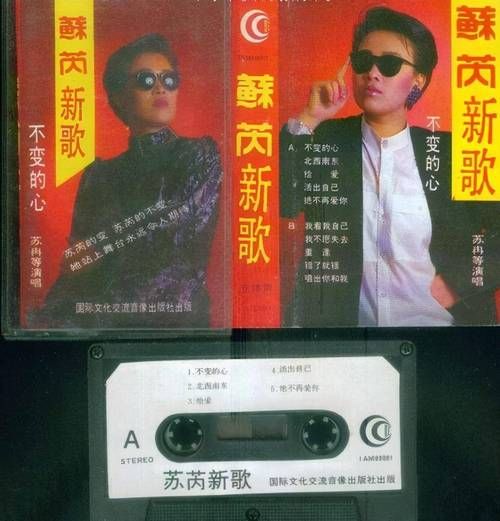 那英的满族名字是什么原来她祖上是旗人