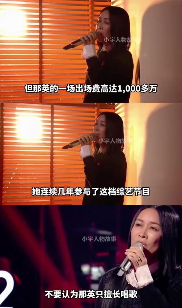 那英的身世揭秘她为何能成为歌坛天后