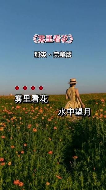 那英的雾里看花创作背景 原来灵感来自这里