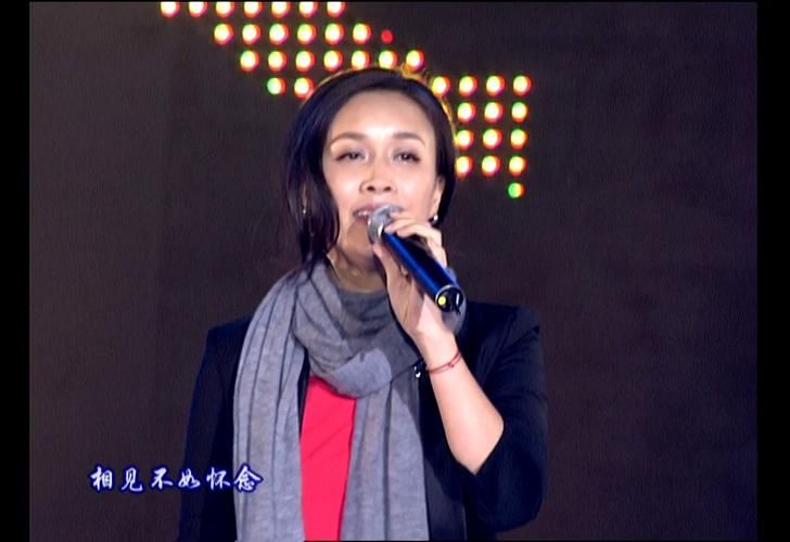 那英相见不如怀念歌词解读 为什么这首歌能打动人心