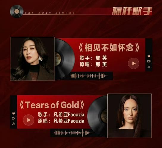 那英相见不如怀念歌词解读 为什么这首歌能打动人心