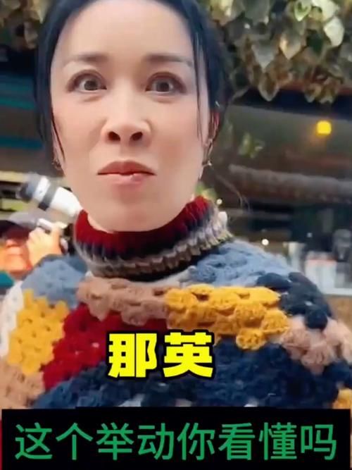 那英瞧不起农民事件持续发酵粉丝脱粉路人转黑