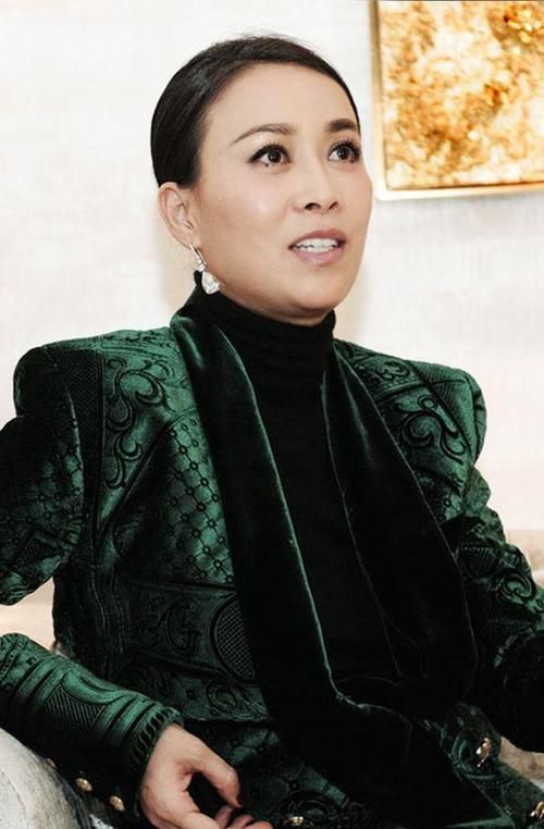 那英简介个人资料大公开 揭秘歌坛天后的成长故事