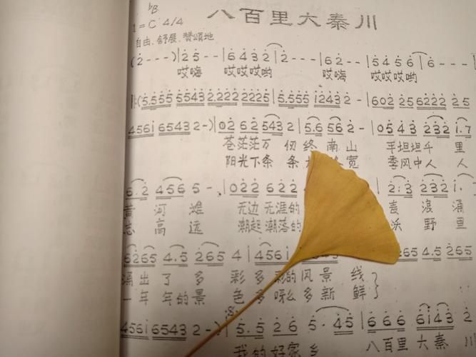 那英经典歌曲不管有多苦歌词解析与赏析