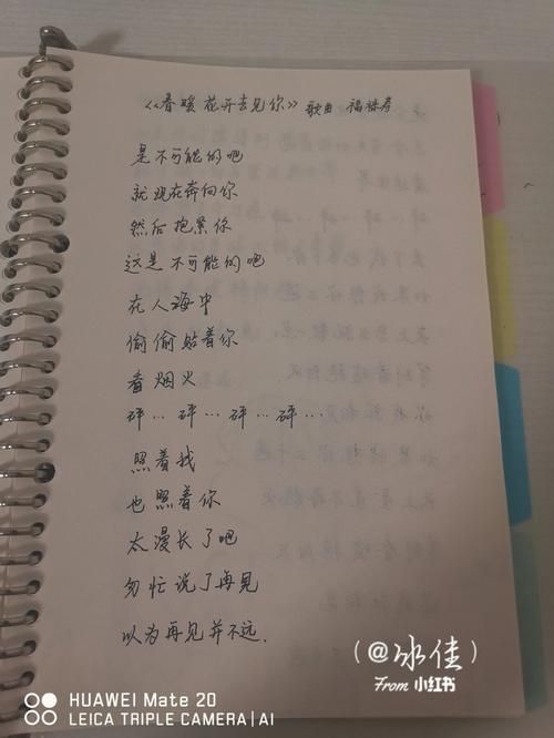 那英经典歌曲春暖花开歌词 带你重温美好时光