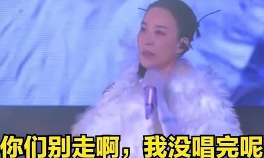 那英翻车事件始末 网友热议不断