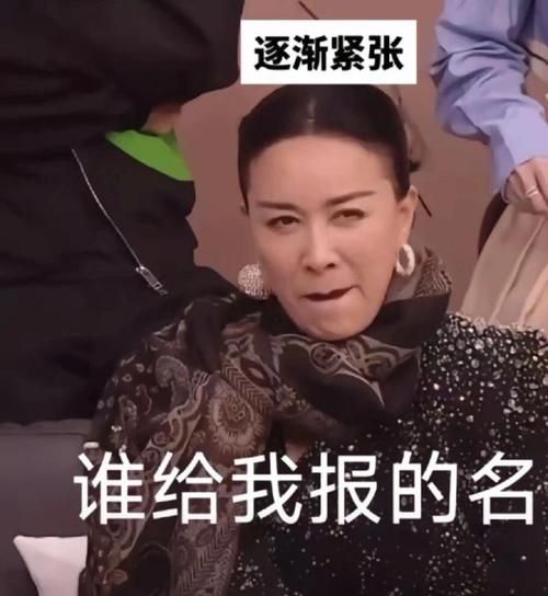 那英表情包合集 看完笑到停不下来