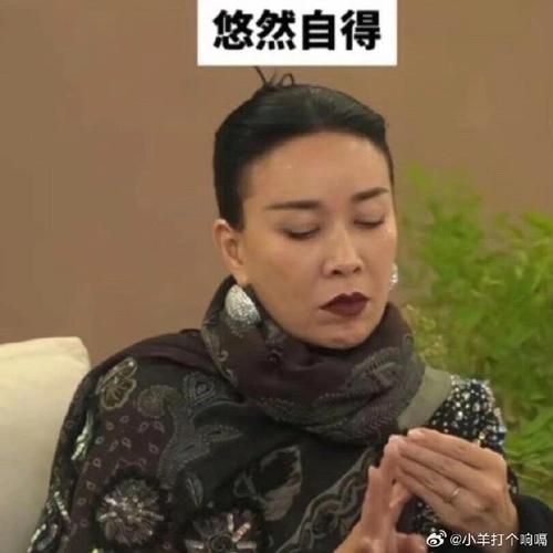 那英表情包合集 看完笑到停不下来
