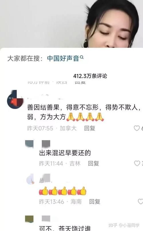 那英被骂原因大揭秘 网友争议点在哪